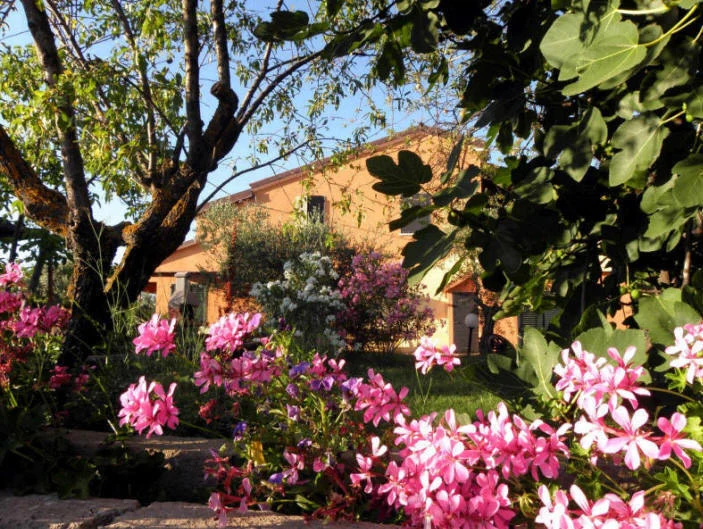Fiori rosa e alberi attorno al casale dell’Agriturismo Colomboni